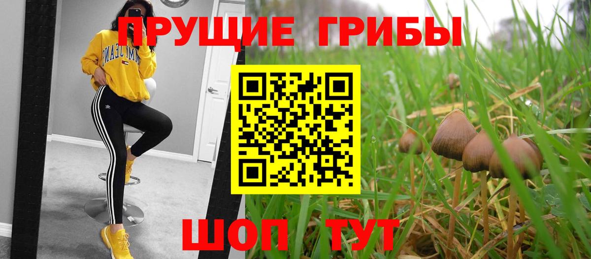 Галлюциногенные грибы мухоморы  Вход с VPN  Маркс 